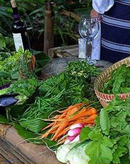 Organic produce from the Big Tree Farm  